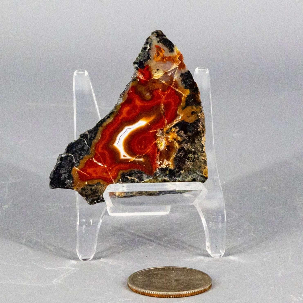 Moroccan Agate Crystal Geode Slice Polished Display Crystal Destiny
