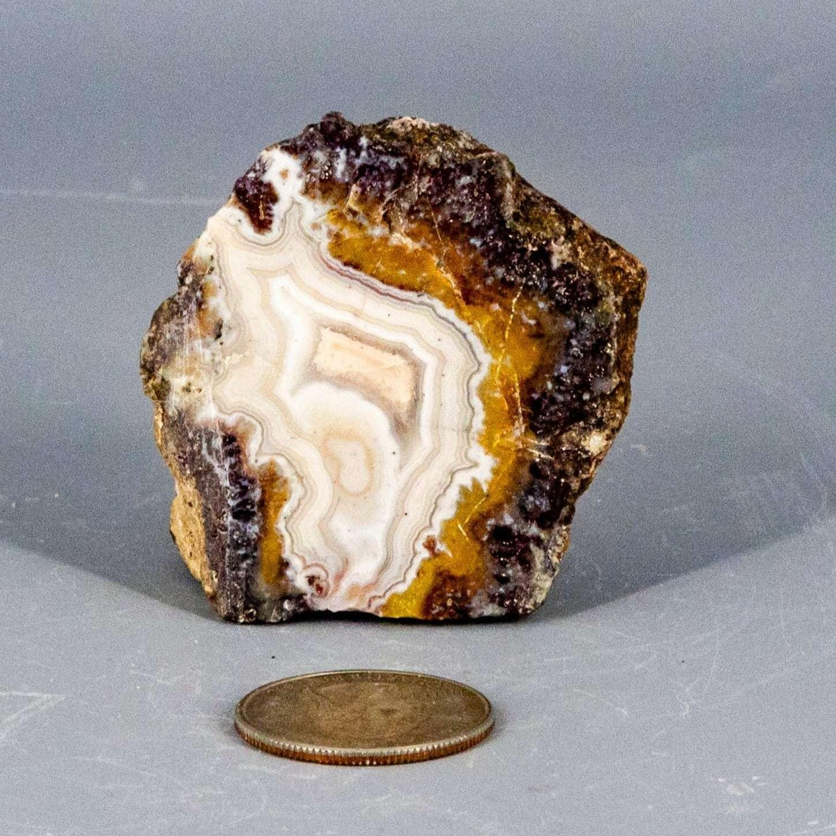 Moroccan Agate Crystal Geode Slice Polished Display Crystal Destiny