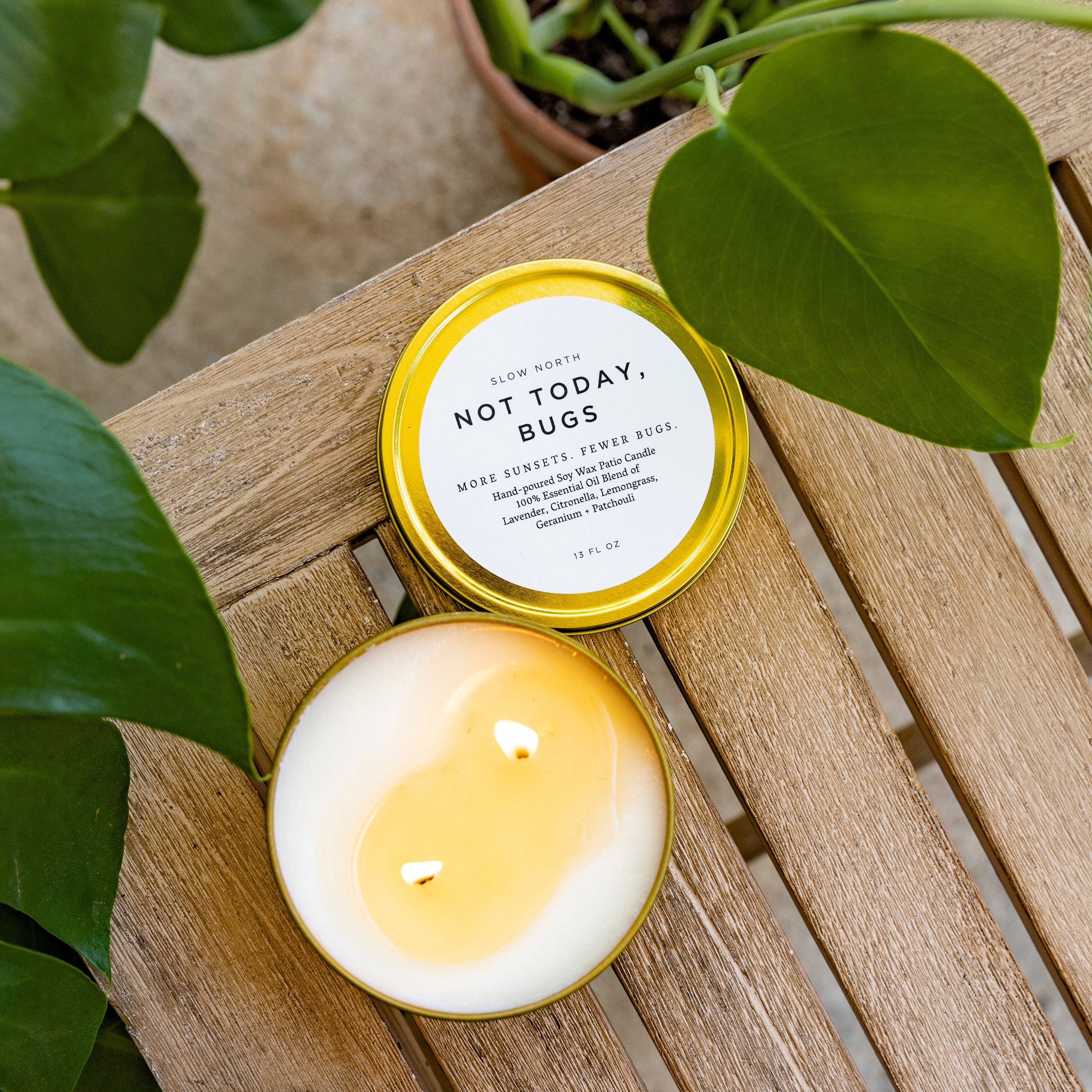 Not Today, Bugs - Mosquito Candle Slow North