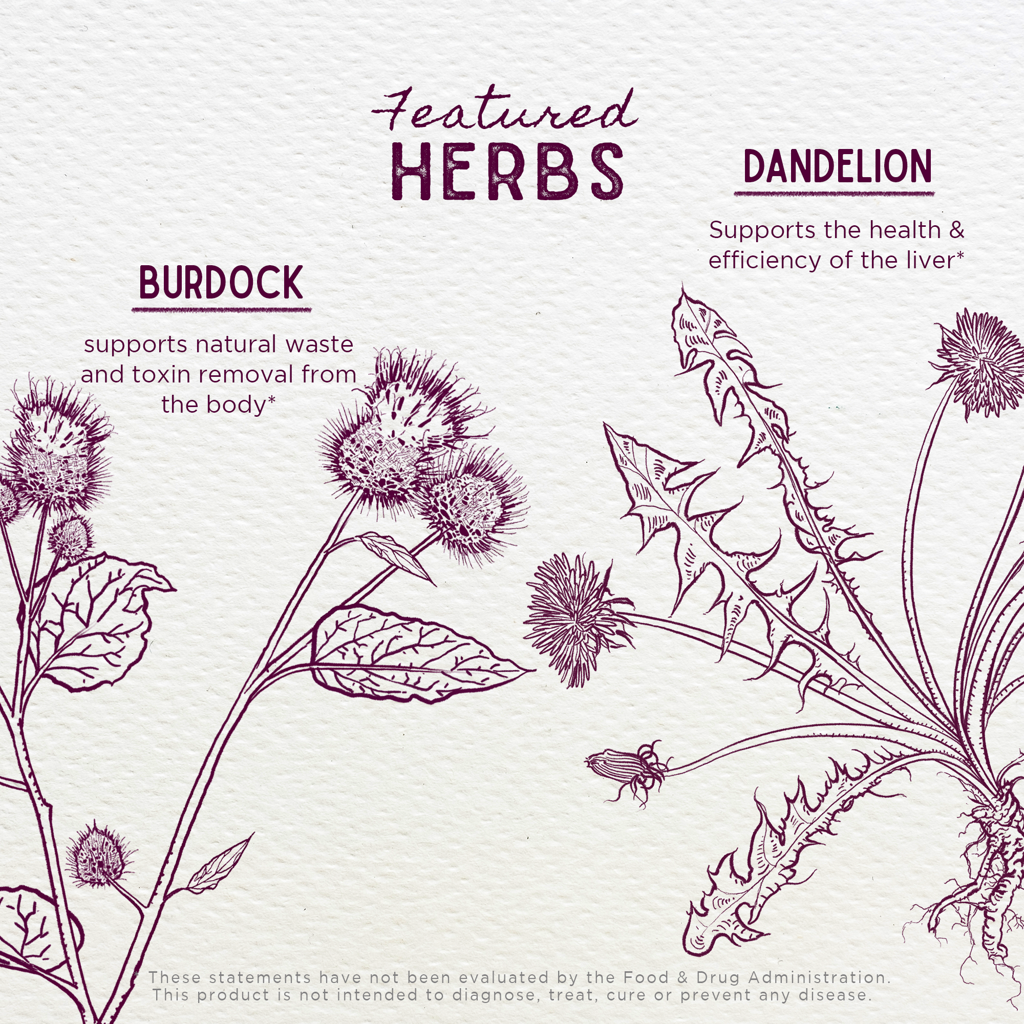 Party Prep, For a Better Morning After WishGarden Herbs