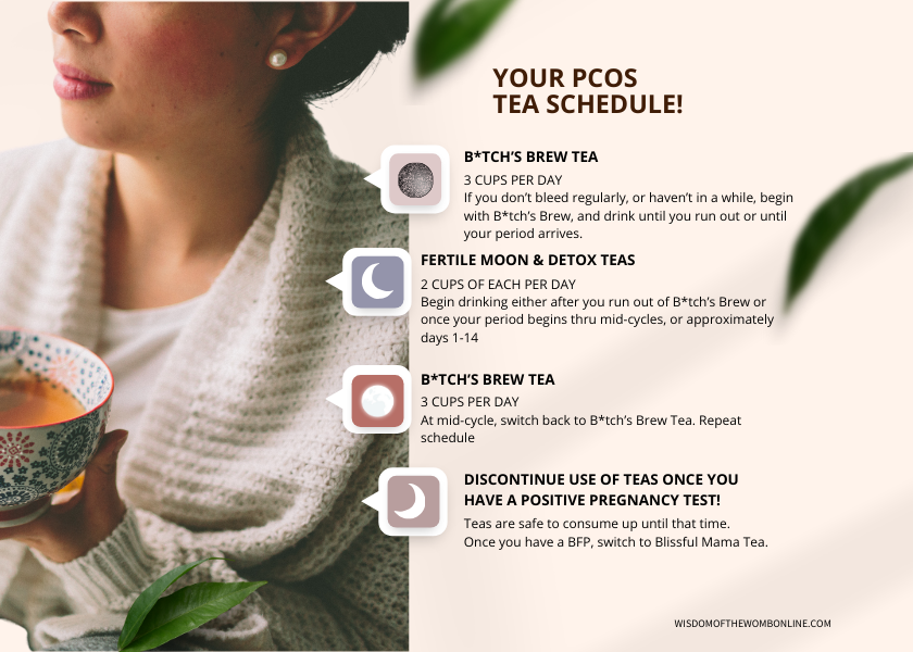 PCOS Support Bundle Wisdom of the Womb