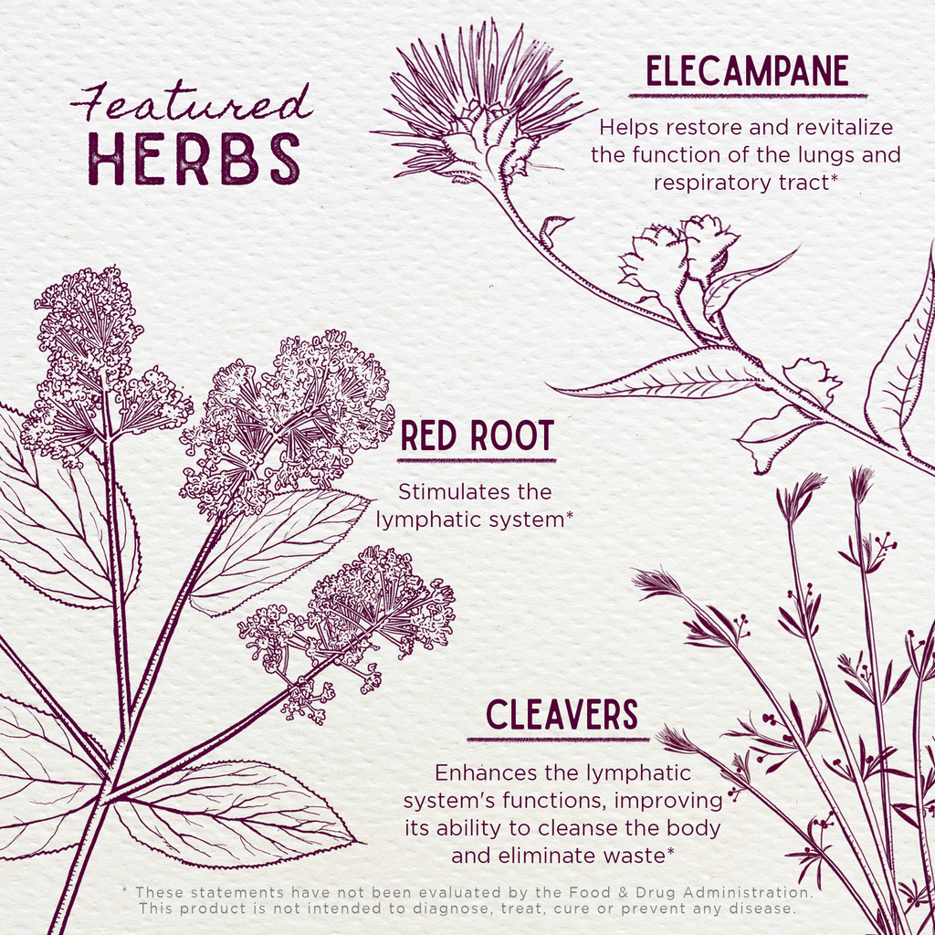 Respiratory Strength, Daily Support WishGarden Herbs