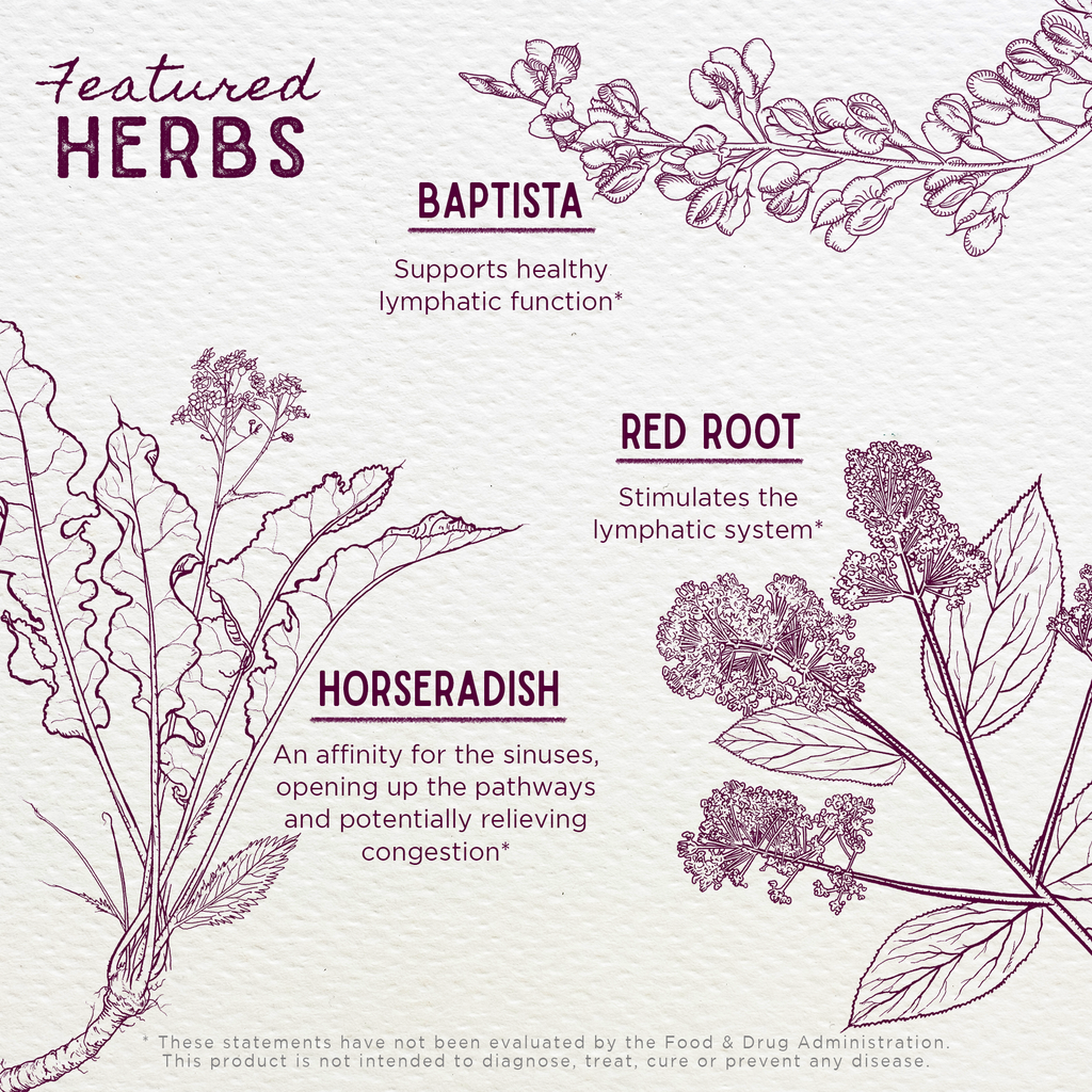 Kick-Ass Sinus, Move & Soothe WishGarden Herbs