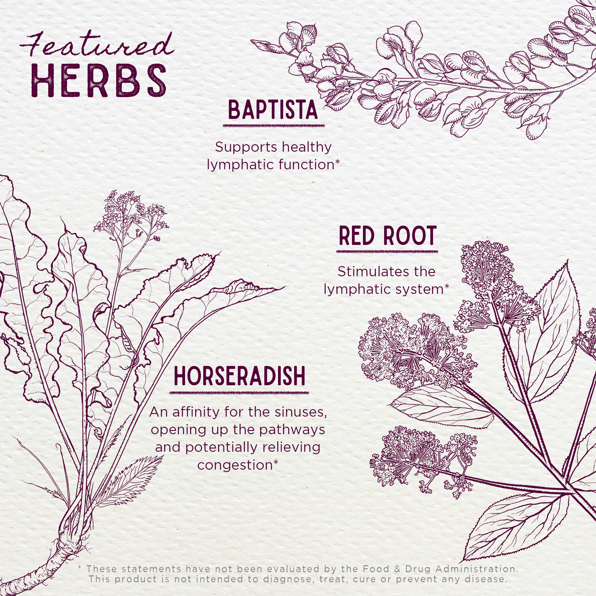 Kick-Ass Sinus, Move & Soothe WishGarden Herbs