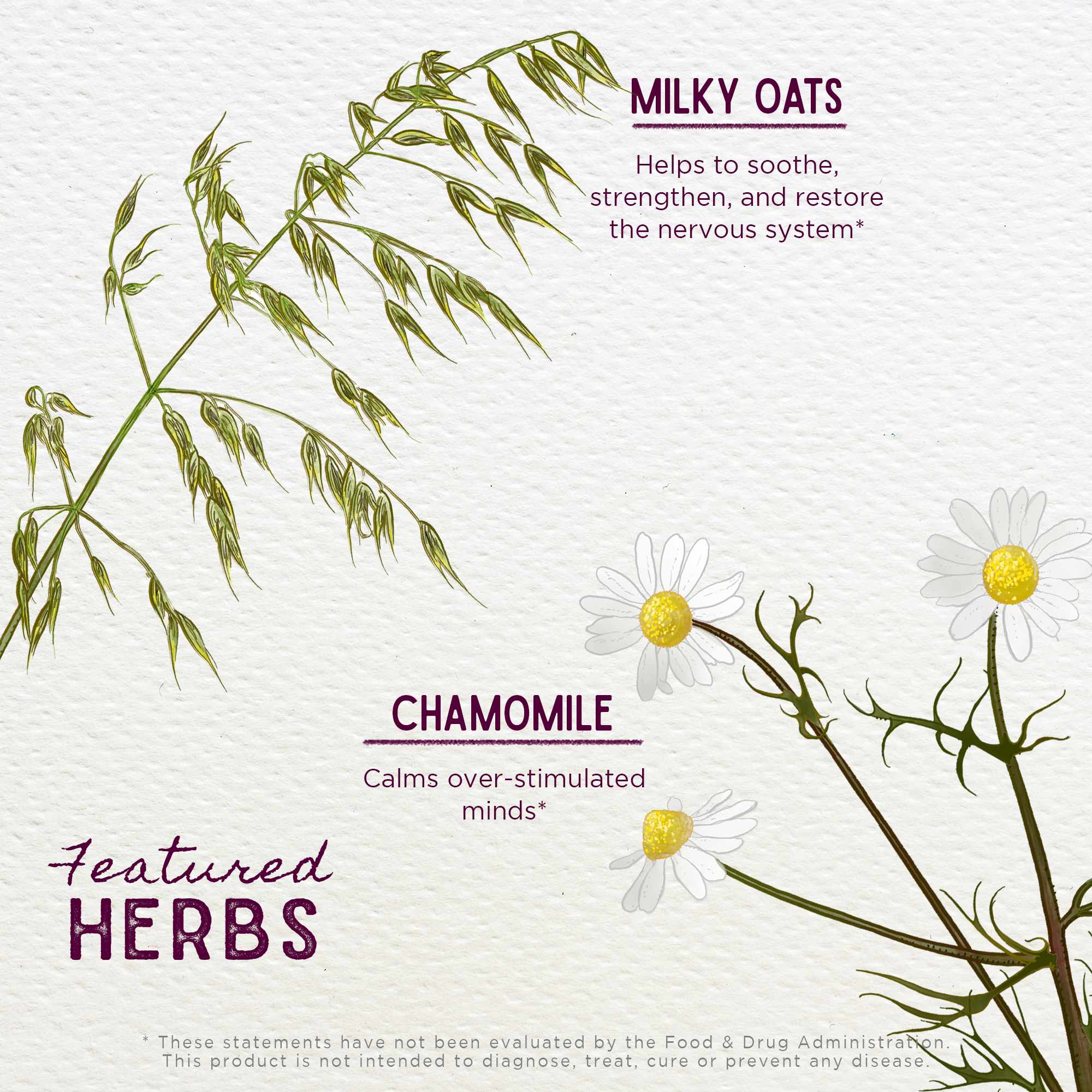 Stress Release, Tension Tamer for Pregnancy WishGarden Herbs