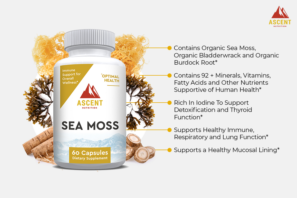 Organic Sea Moss, 60 Capsules, 500 mg Ascent Nutrition
