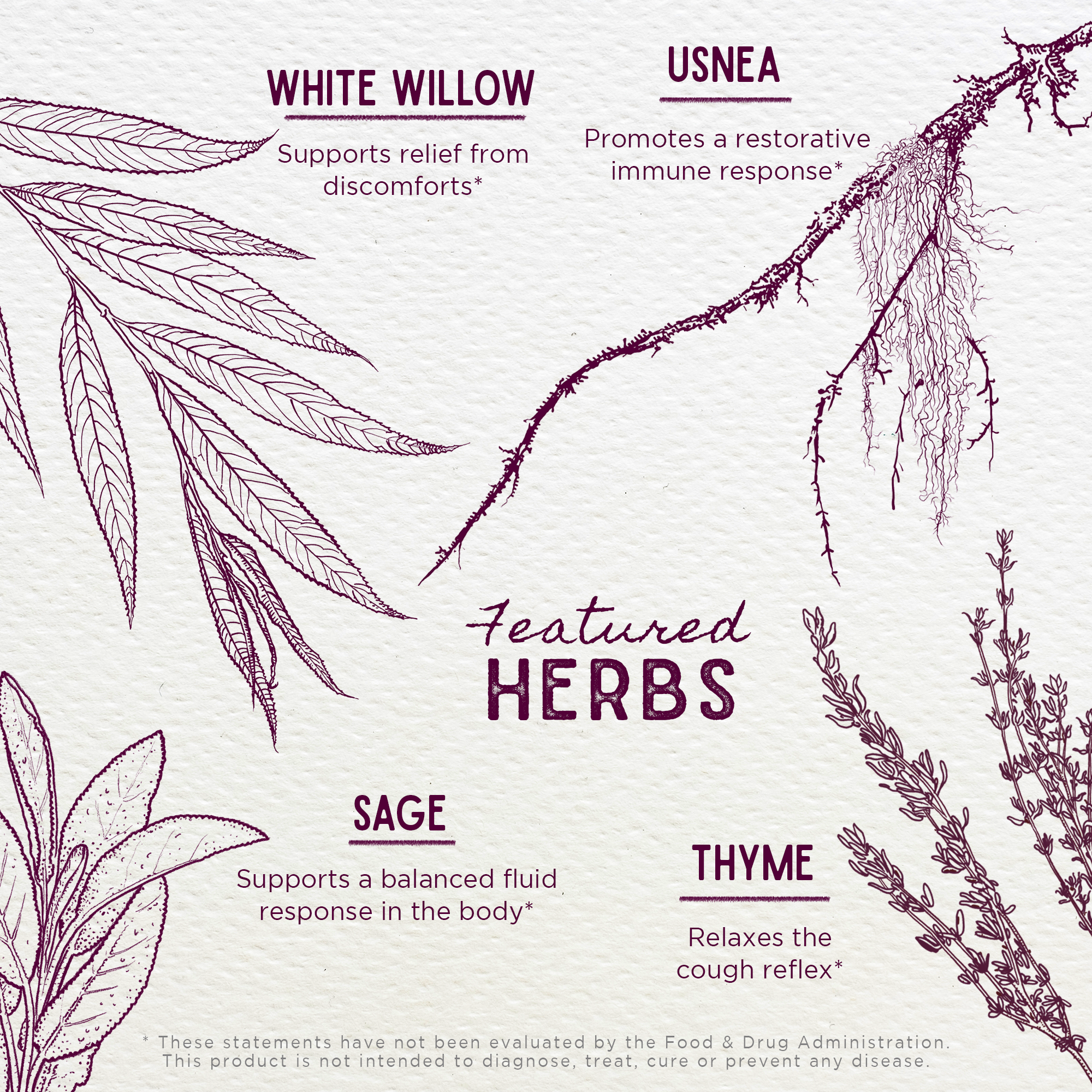 Kick-Ass Throat Spray WishGarden Herbs