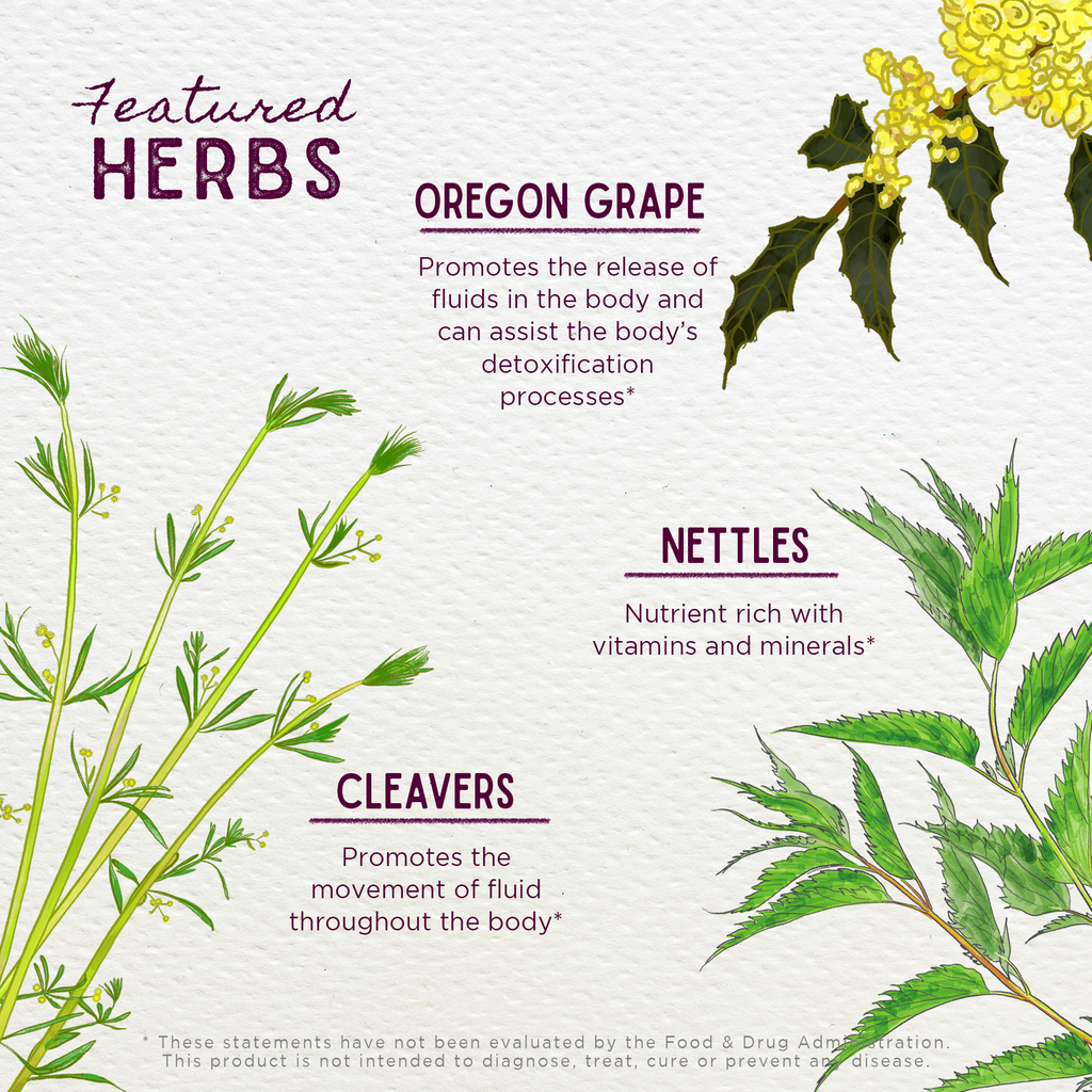 Deep Cleanse, Reset & Flourish WishGarden Herbs