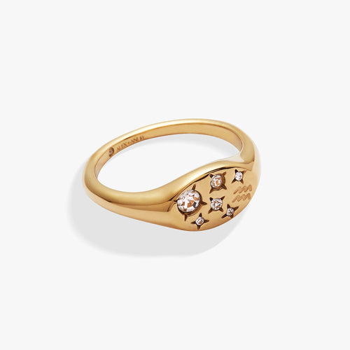 Aquarius Zodiac Ring ALEX AND ANI