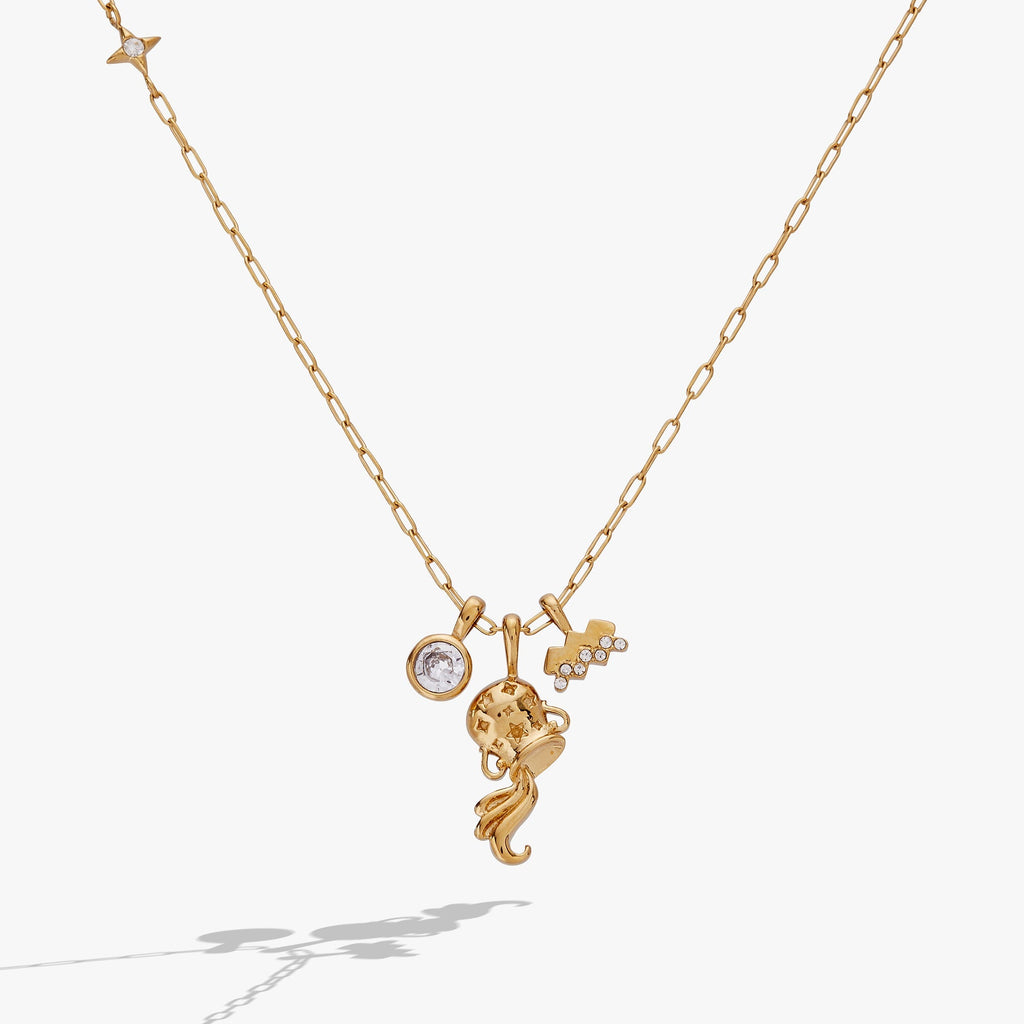 Aquarius Zodiac Charm Cluster Necklace ALEX AND ANI