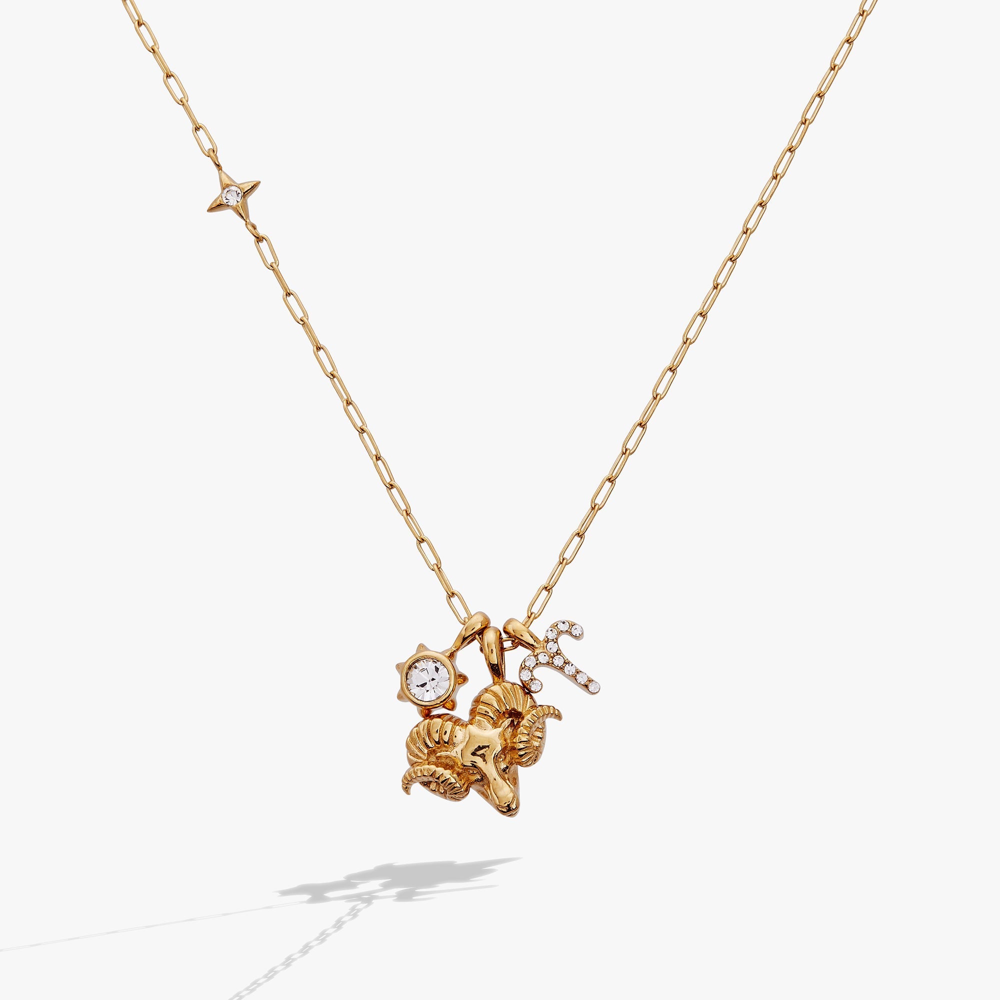 Aries Zodiac Charm Cluster Necklace ALEX AND ANI