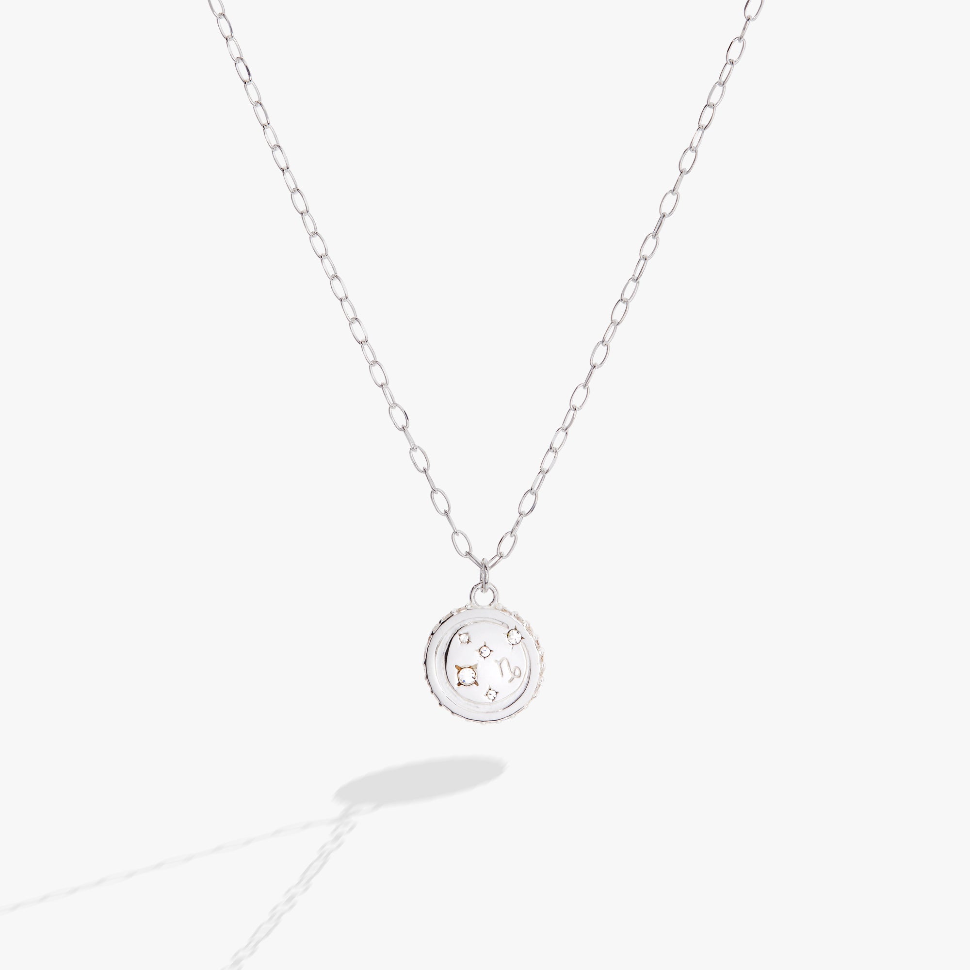 Capricorn Zodiac Precious Necklace ALEX AND ANI