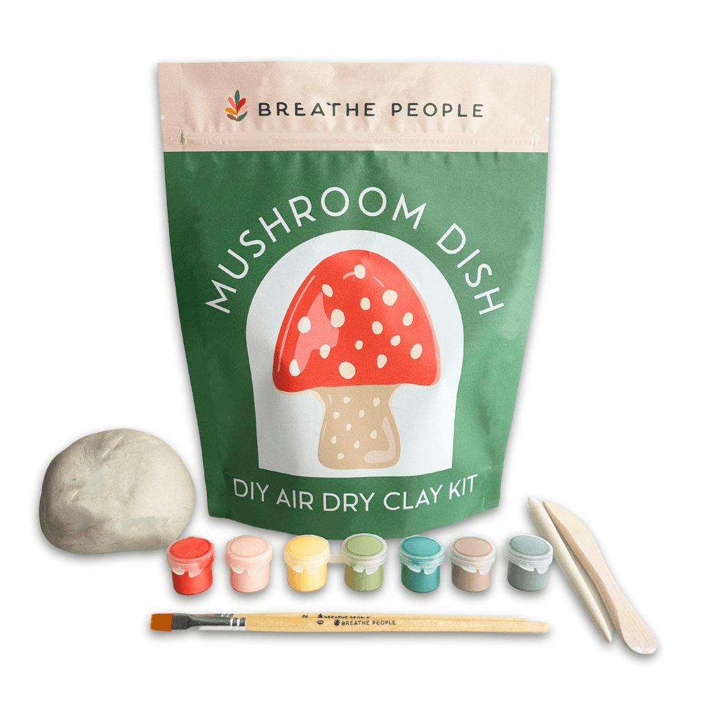 DIY Air Dry Clay Kit- Make Your Own Mushroom Dish JT Trading Post