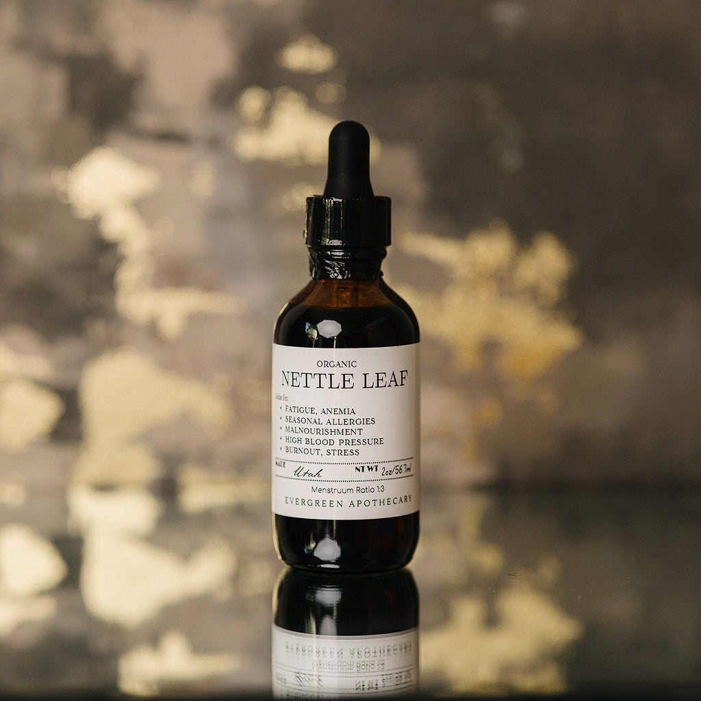 Nettle Leaf Tincture Evergreen Apothecary