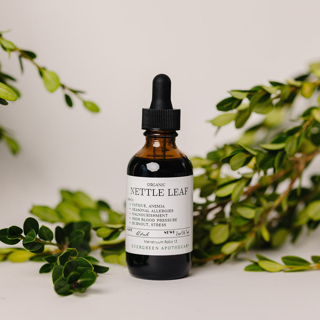 Nettle Leaf Tincture Evergreen Apothecary