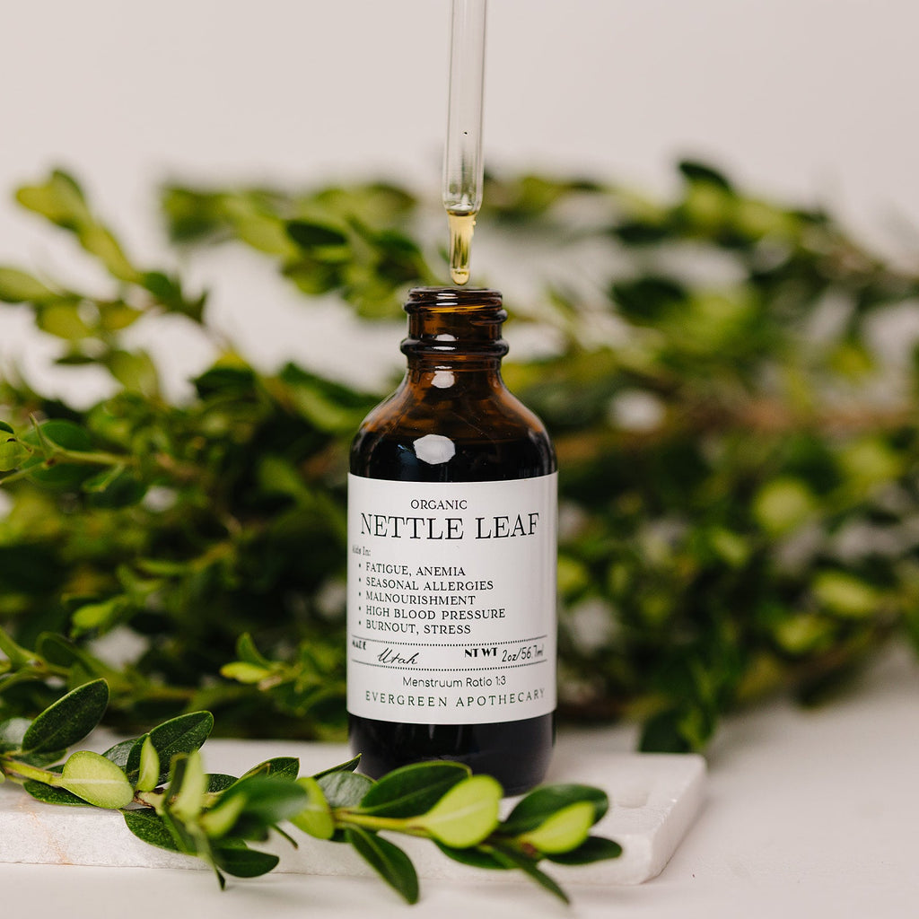 Nettle Leaf Tincture Evergreen Apothecary