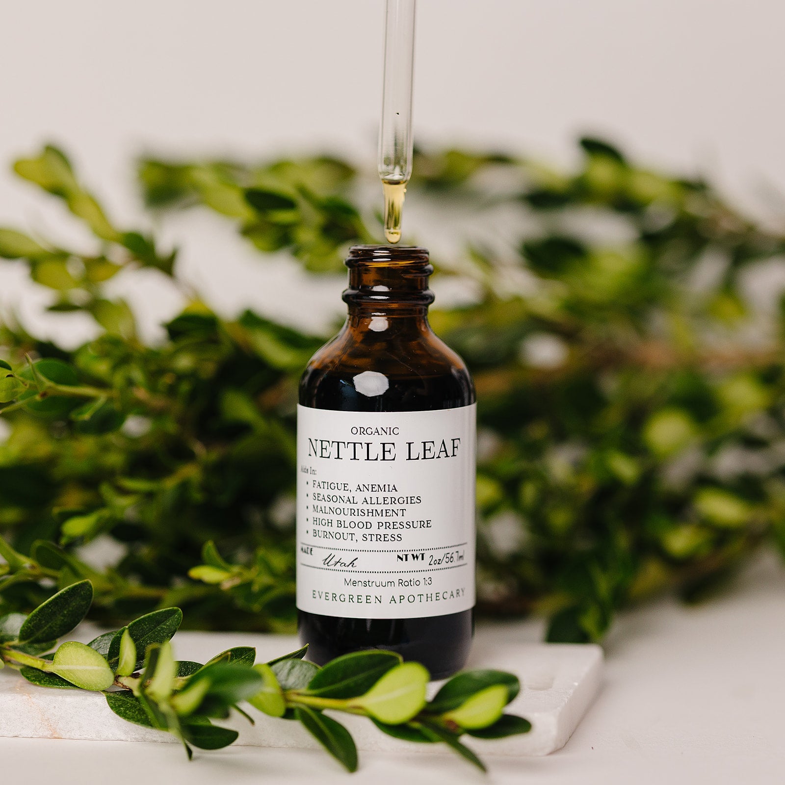 Nettle Leaf Tincture Evergreen Apothecary
