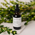 Nettle Leaf Tincture Evergreen Apothecary