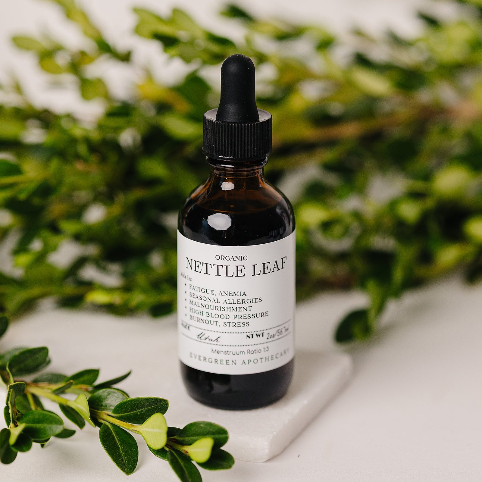 Nettle Leaf Tincture Evergreen Apothecary