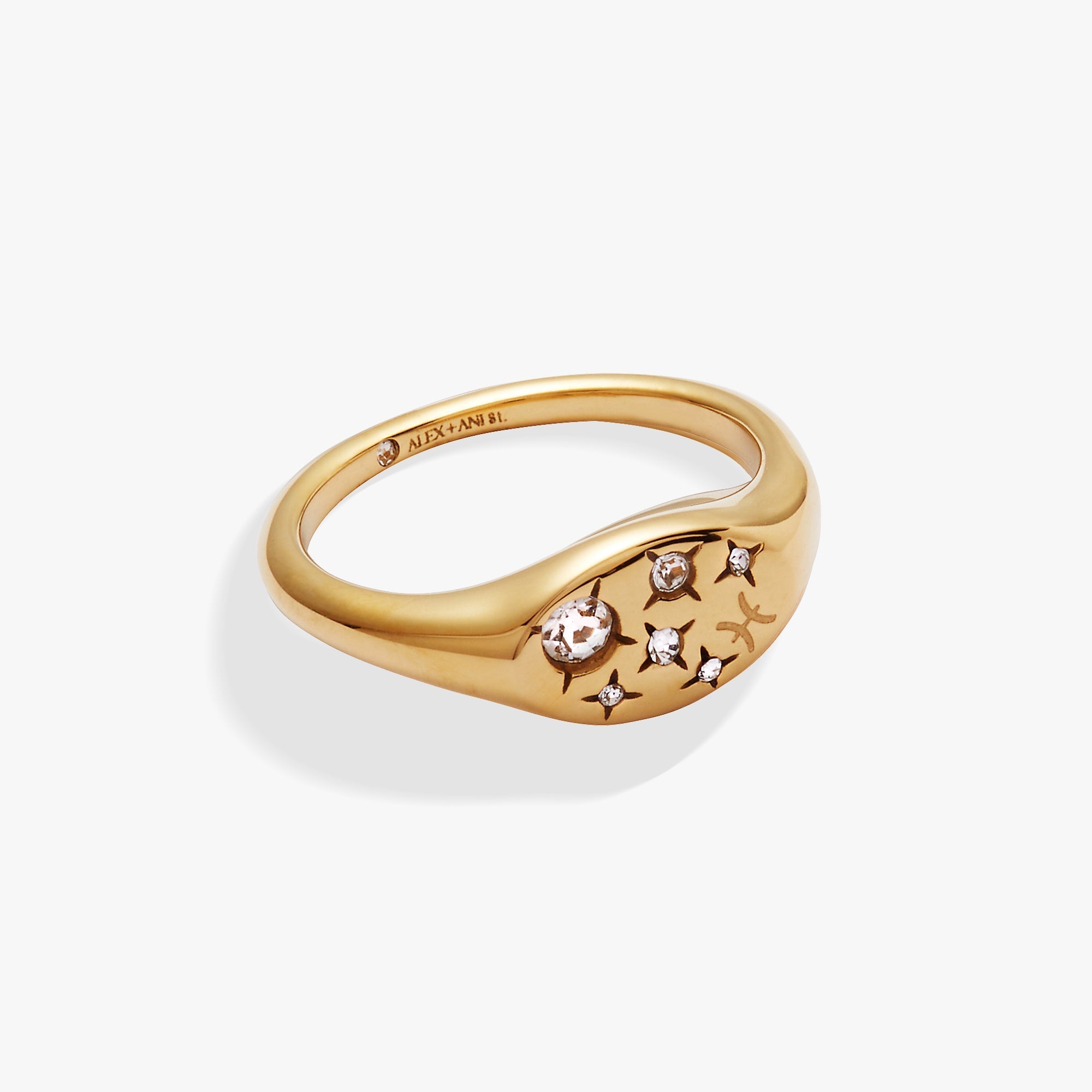 Pisces Zodiac Ring ALEX AND ANI