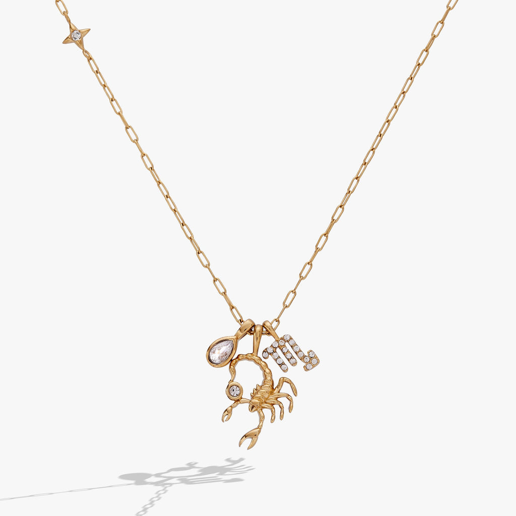 Scorpio Zodiac Charm Cluster Necklace ALEX AND ANI