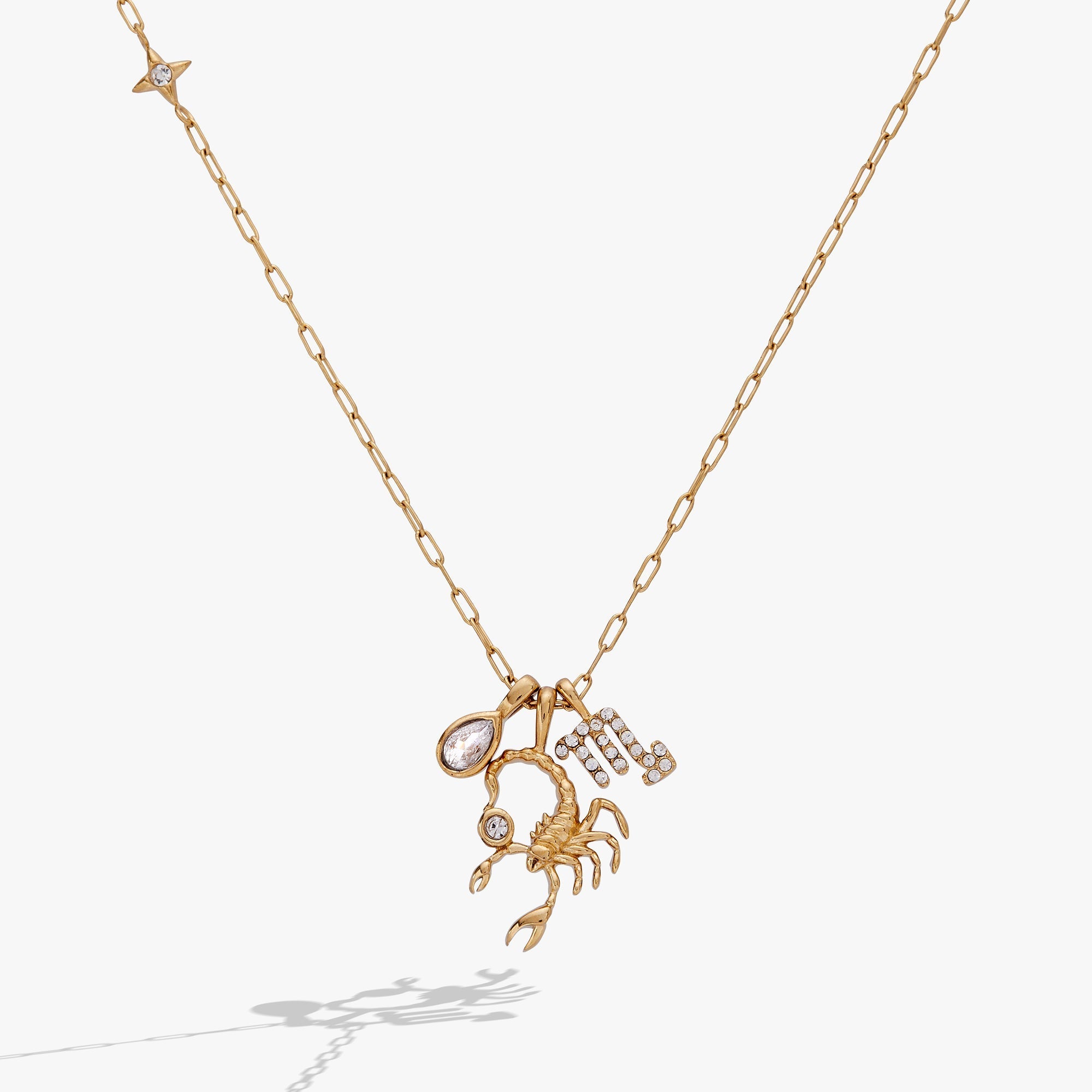 Scorpio Zodiac Charm Cluster Necklace ALEX AND ANI