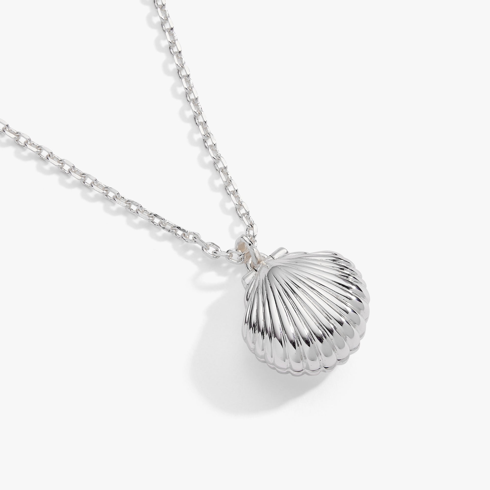 Salt + Sea 'Seashells Are Love Letters In The Sand' Seashell Locket Pendant ALEX AND ANI