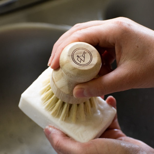 Eco-Friendly Dish Washing Starter Pack - Sparkling Clean & Green Green Llama