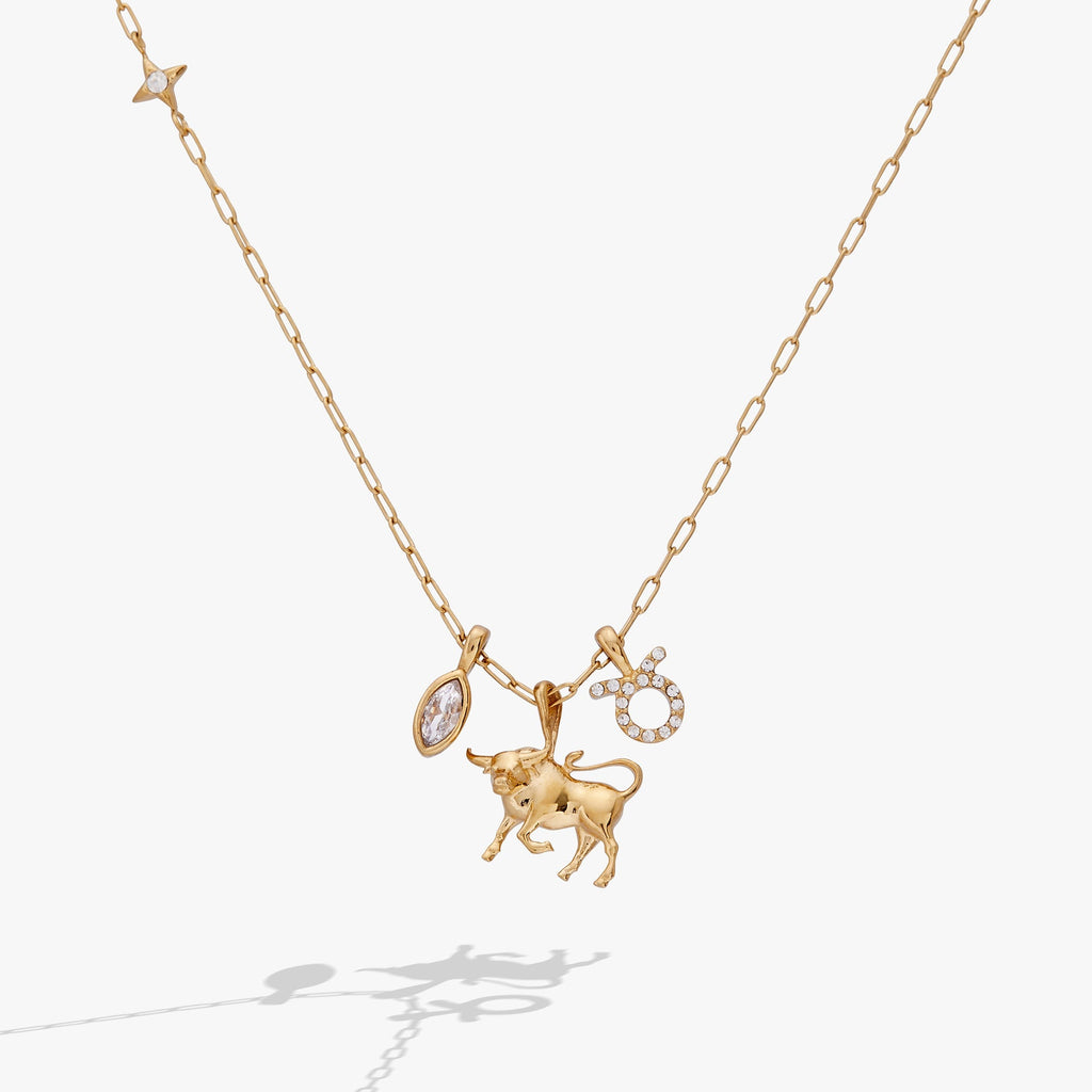 Taurus Zodiac Charm Cluster Necklace ALEX AND ANI